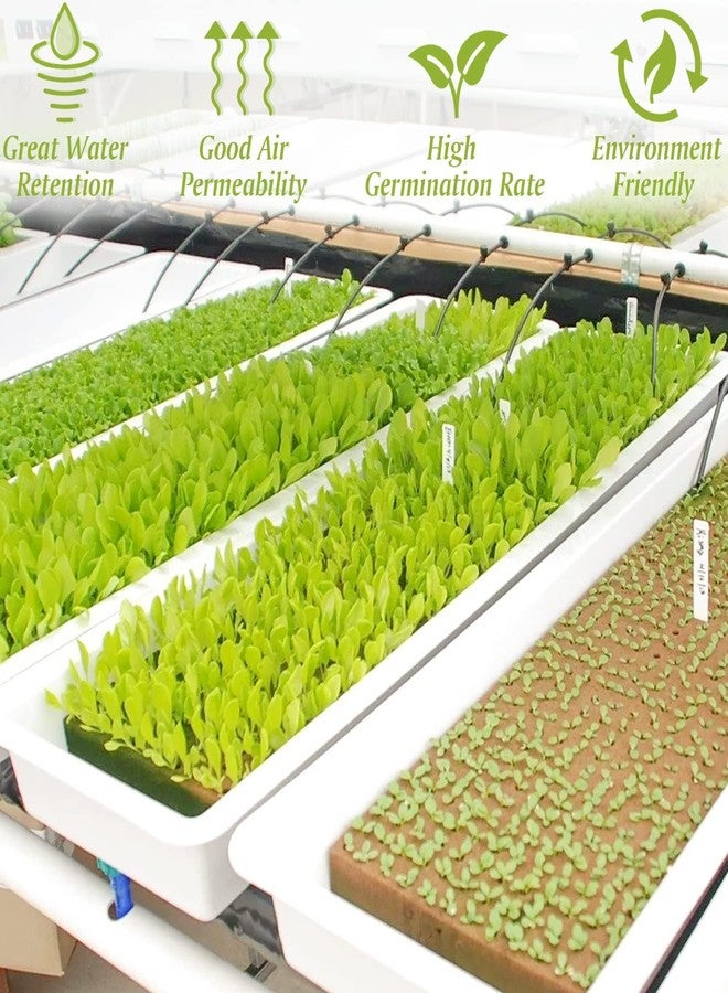 Halatool مكعبات الصوف الصخري من هالاتول مقاس 1 بوصة، مكعبات صوف صخري للزراعة، شتلات، عقل، نباتات مستنسخة، بداية الإنبات (ورقتان، 100 مكعب إجمالاً) - Image 4